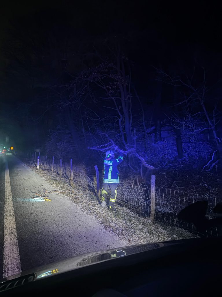 Nr.3- Baum auf Fahrbahn